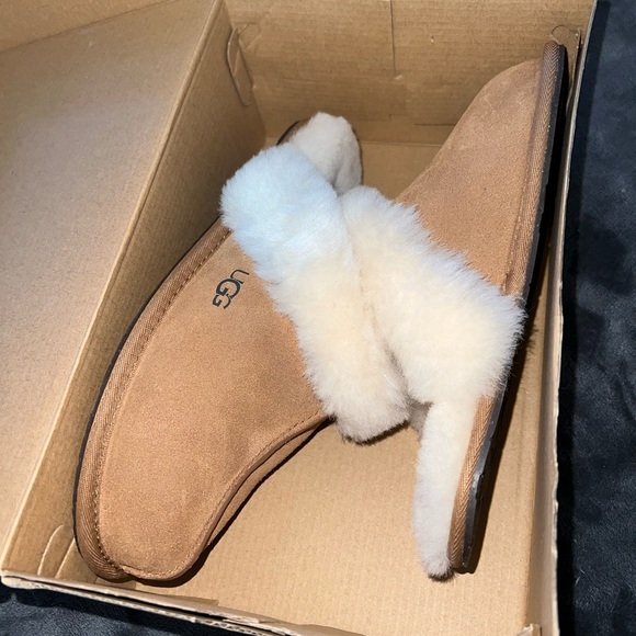 Ugg Scuffette II in Chestnut Size 7 New in box - Picture 7 of 16